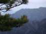 21-03-2008 黄山 ( 陳卓堃提供 ) -- 6